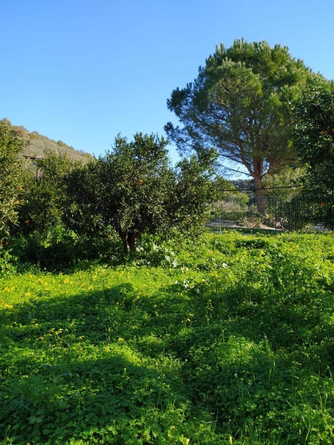 Residenza Maria Antonia - Country House Orosei Buitenkant foto